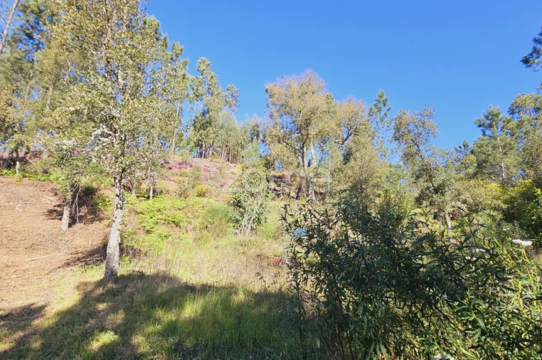 Moradia T5 para Venda em Sardoal Foto 16