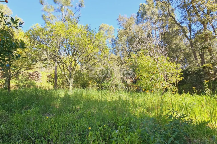 Moradia T5 para Venda em Sardoal Foto 17