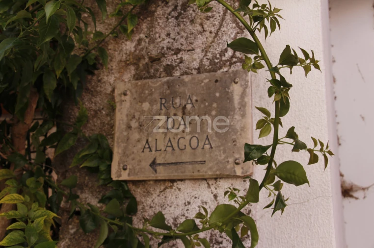 Moradia T2 para Venda em Vila Seca e Bem da Fé Foto 4