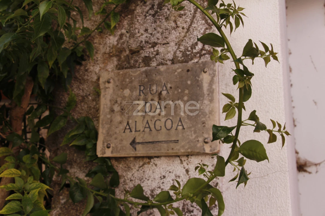 Moradia T2 para Venda em Vila Seca e Bem da Fé Foto 4