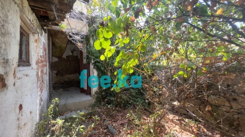 Moradia T4 para Venda em Castelo Branco