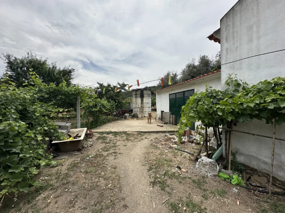 Quinta para Venda em Alvega e Concavada Foto 3