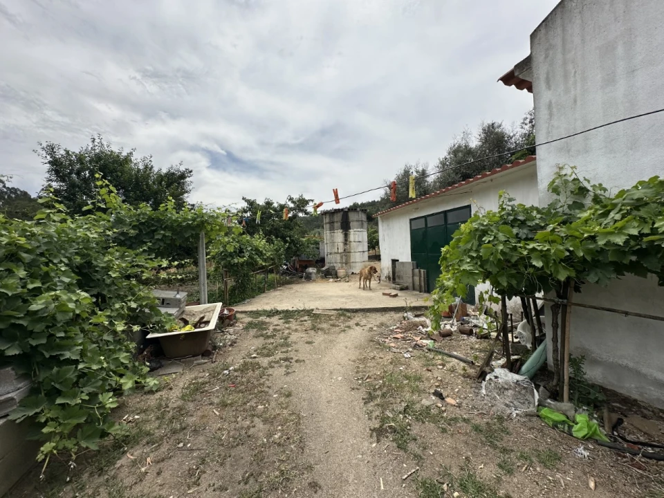 Quinta para Venda em Alvega e Concavada Foto 4