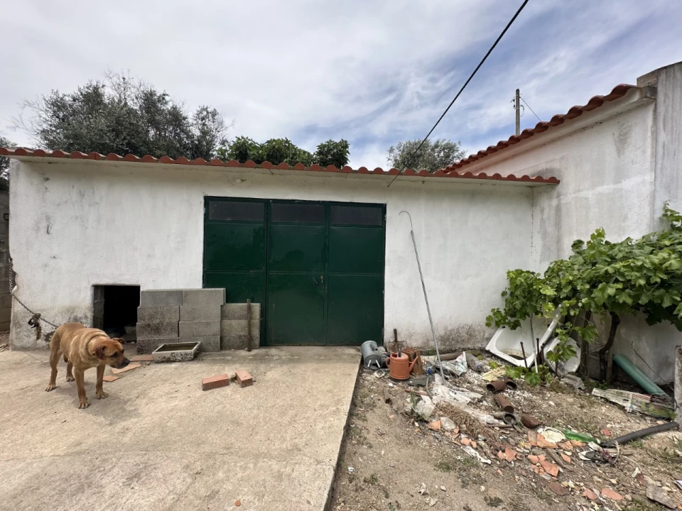 Quinta para Venda em Alvega e Concavada Foto 7