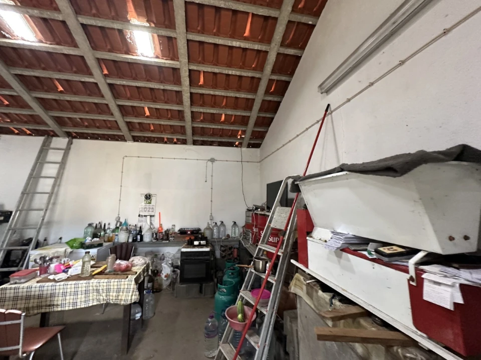 Quinta para Venda em Alvega e Concavada Foto 12