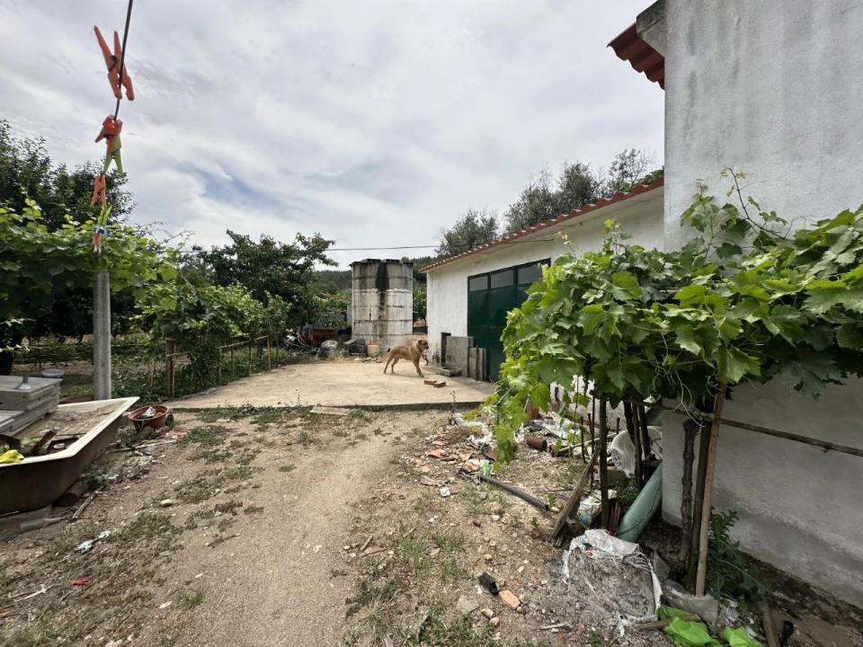 Quinta para Venda em Alvega e Concavada Foto 13