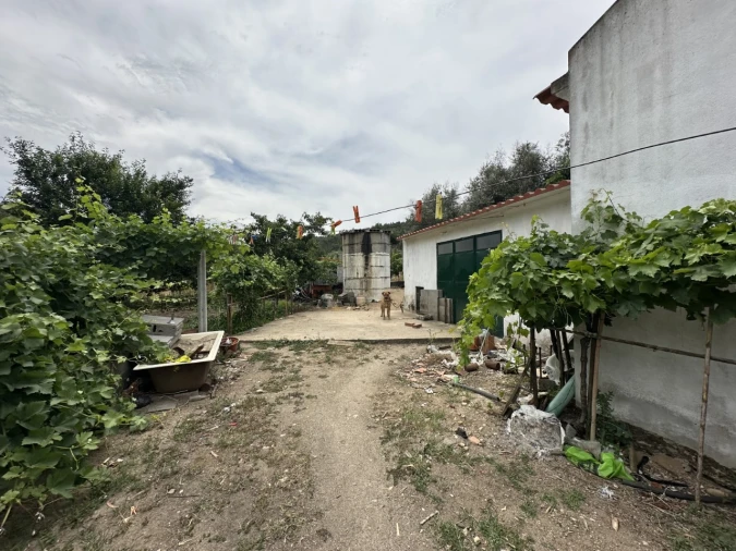 Quinta para Venda em Alvega e Concavada Foto 3