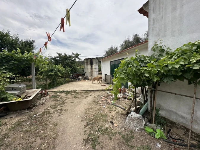 Quinta para Venda em Alvega e Concavada Foto 14
