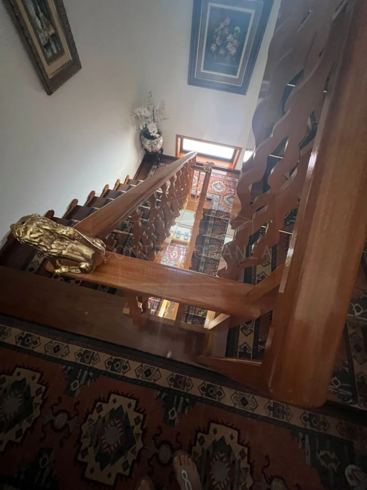 Moradia T6 para Venda em Vila Flor e Nabo Foto 49