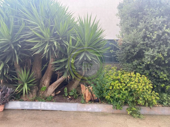 Moradia T3 para Venda em Aguçadoura e Navais Foto 24