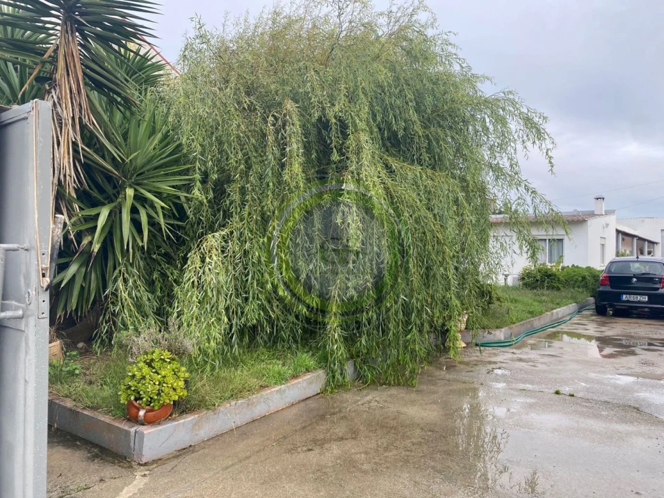 Moradia T3 para Venda em Aguçadoura e Navais Foto 25