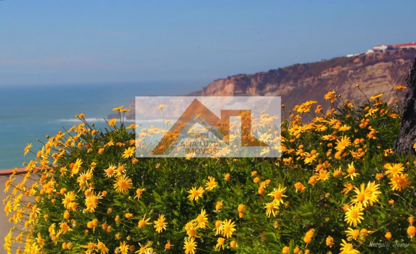 Terreno para Venda em Famalicão Foto 13