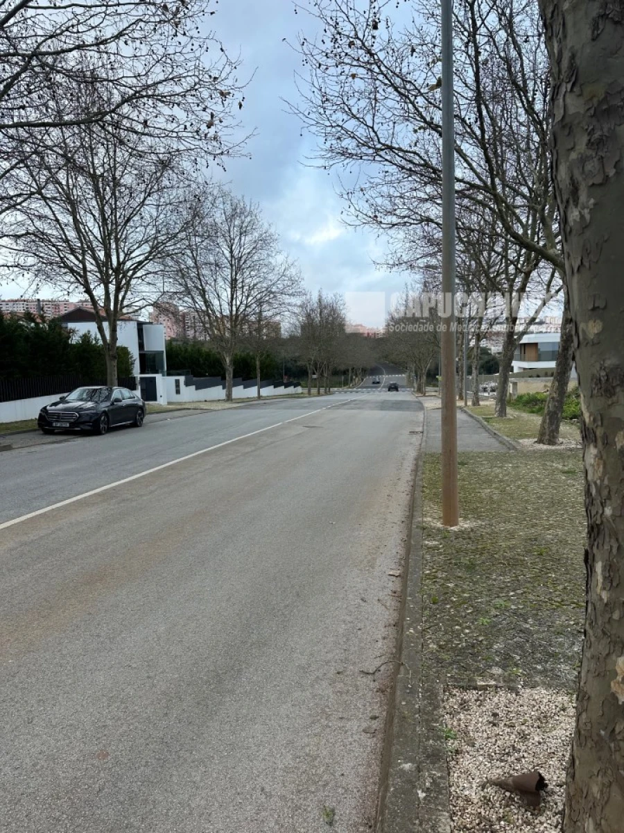 Terreno para Venda em Barcarena Foto 5