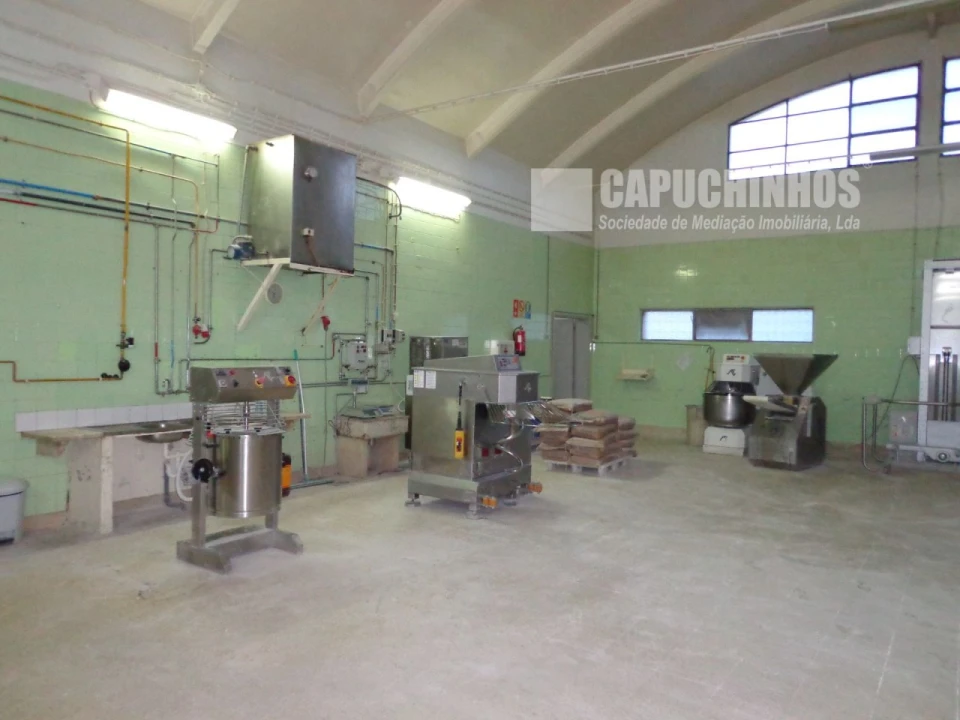 Negócio para Venda em Cartaxo e Vale da Pinta Foto 7