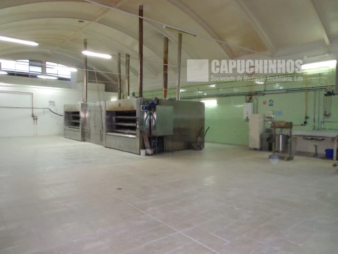 Negócio para Venda em Cartaxo e Vale da Pinta Foto 2