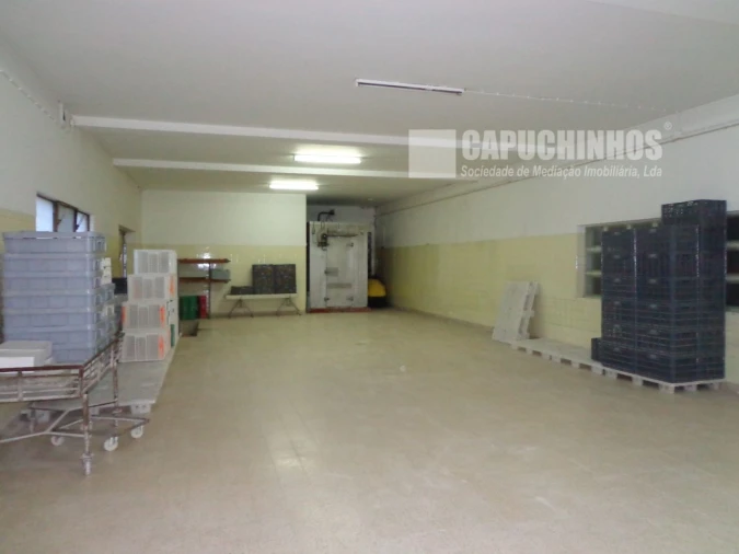 Negócio para Venda em Cartaxo e Vale da Pinta Foto 5