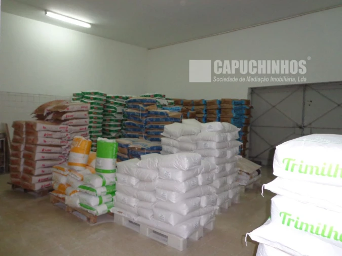 Negócio para Venda em Cartaxo e Vale da Pinta Foto 12