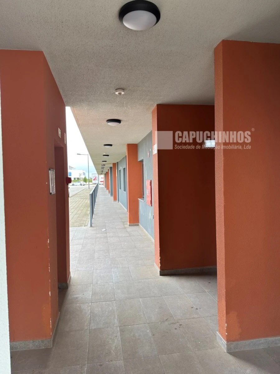 Prédio para Venda em Mexilhoeira Grande Foto 6