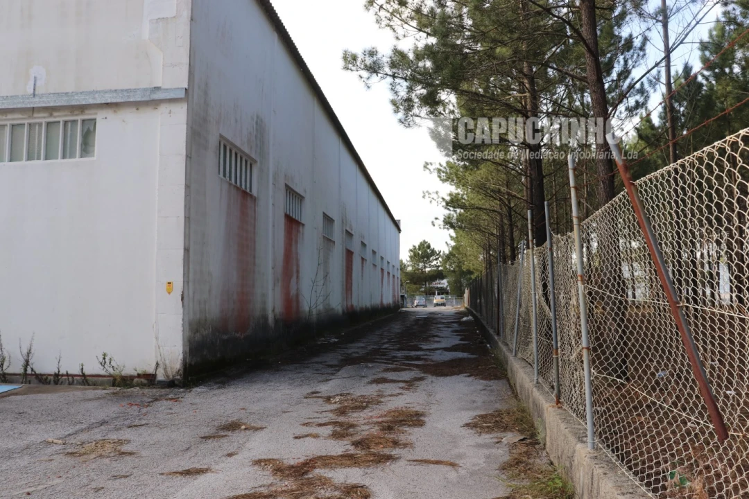 Armazém para Venda em Pataias e Martingança Foto 18