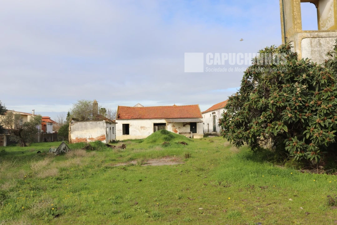 Moradia para Venda em Alpiarça Foto 20