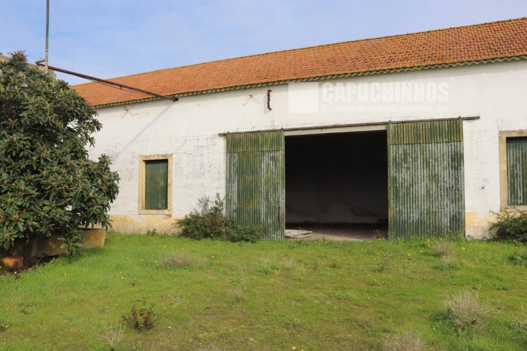 Moradia para Venda em Alpiarça Foto 19