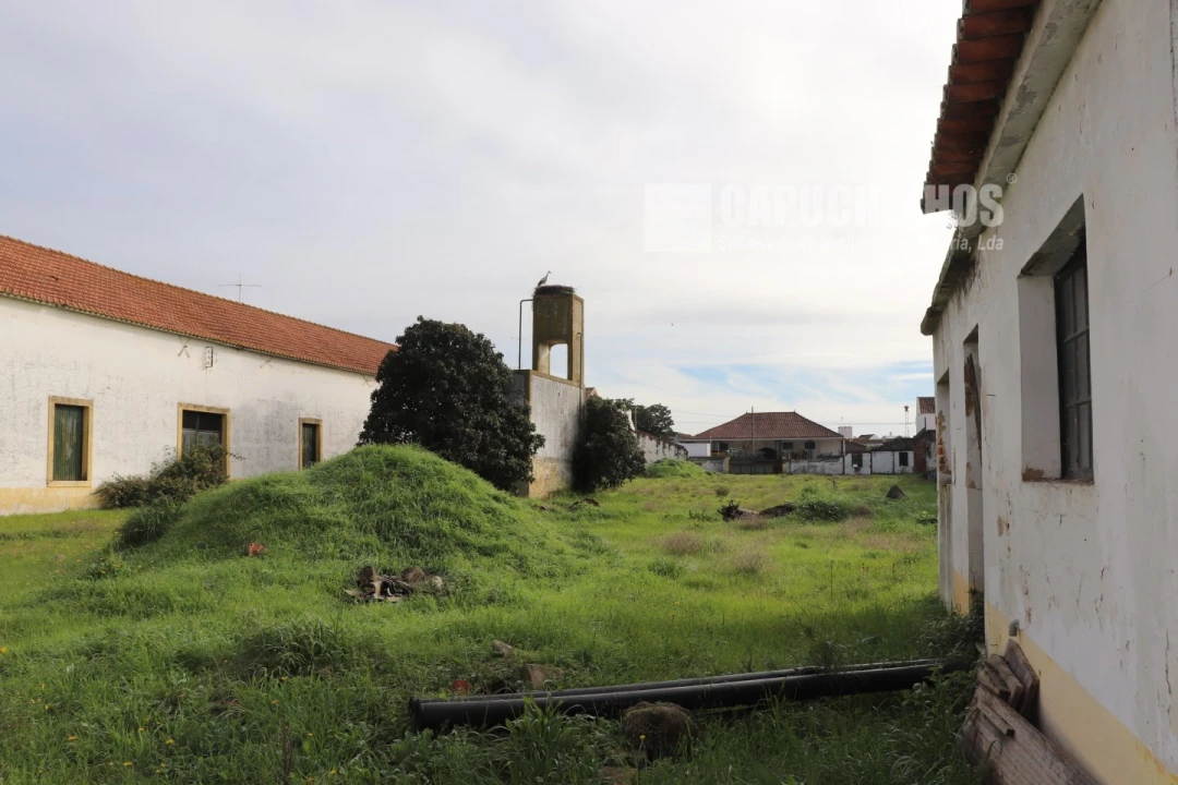 Moradia para Venda em Alpiarça Foto 21