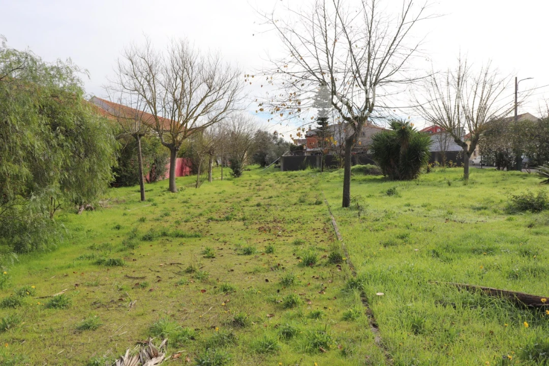 Moradia para Venda em Alpiarça Foto 22