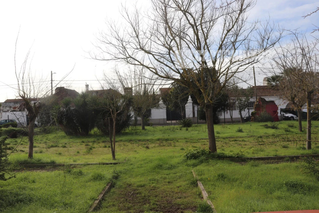 Moradia para Venda em Alpiarça Foto 25