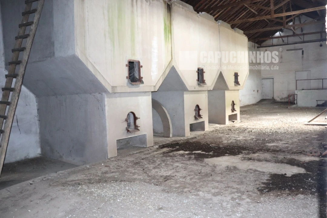 Moradia para Venda em Alpiarça Foto 18