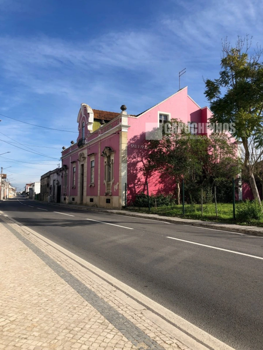 Moradia para Venda em Alpiarça Foto 3