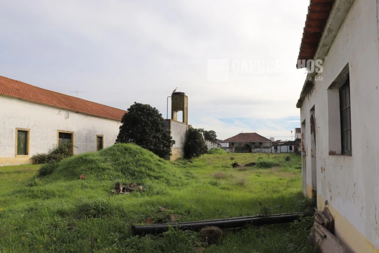 Moradia para Venda em Alpiarça Foto 21