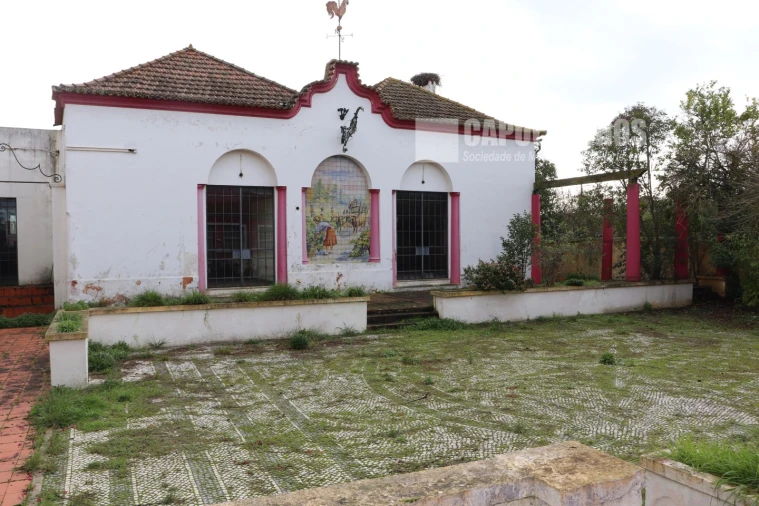 Moradia para Venda em Alpiarça Foto 14