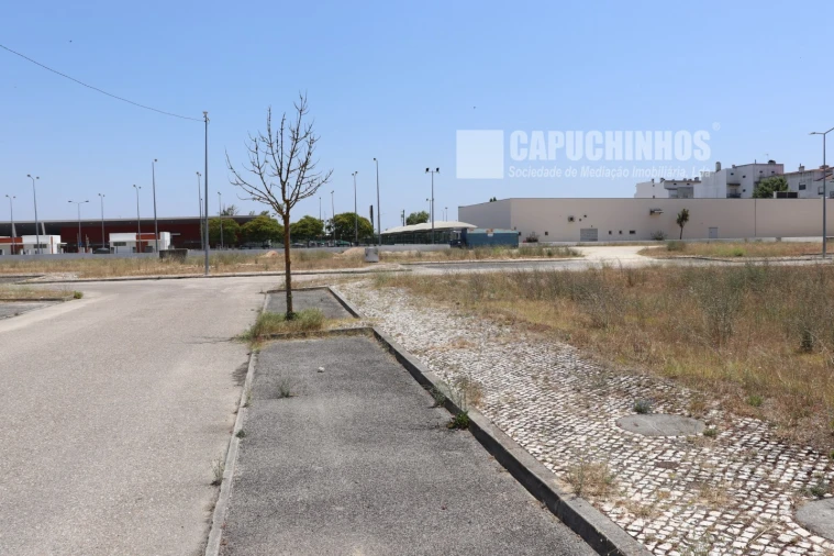 Terreno para Venda em Coruche, Fajarda e Erra Foto 1