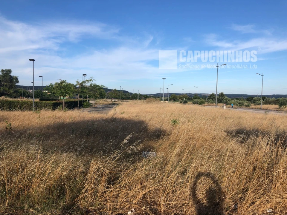Terreno para Venda em São João Baptista Foto 1
