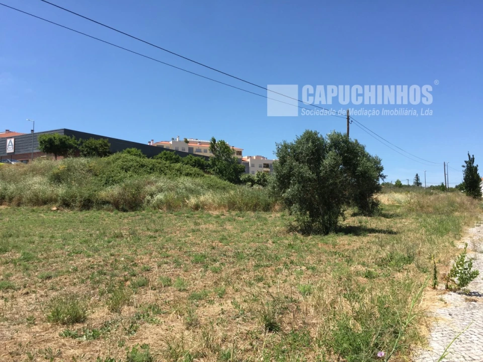 Terreno para Venda em Torres Novas (Santa Maria, Salvador e Santiago) Foto 1