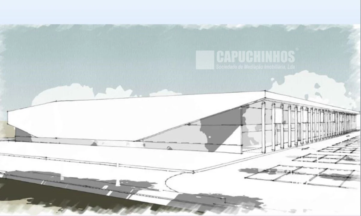 Terreno para Venda em Santa Maria e São Miguel, São Martinho, São Pedro Penaferrim Foto 3