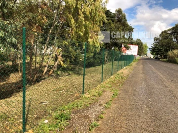 Terreno para Venda em Santa Maria e São Miguel, São Martinho, São Pedro Penaferrim