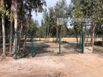 Terreno para Venda em Santa Maria e São Miguel, São Martinho, São Pedro Penaferrim