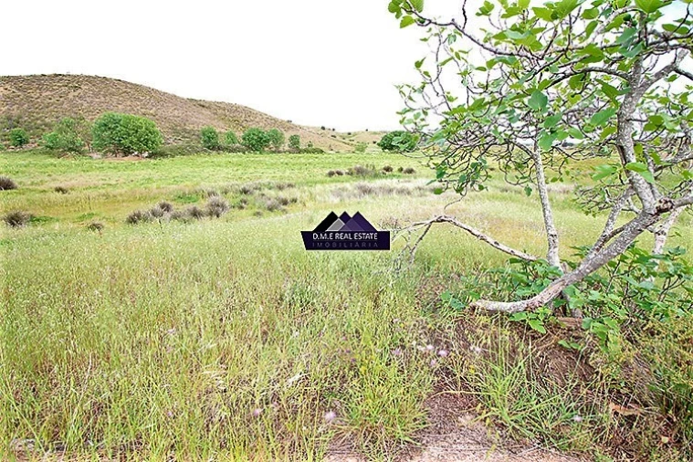Terreno Misto para Venda em Castro Marim Foto 2