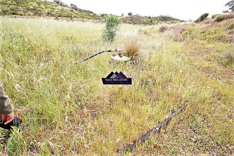 Terreno Misto para Venda em Castro Marim Foto 11