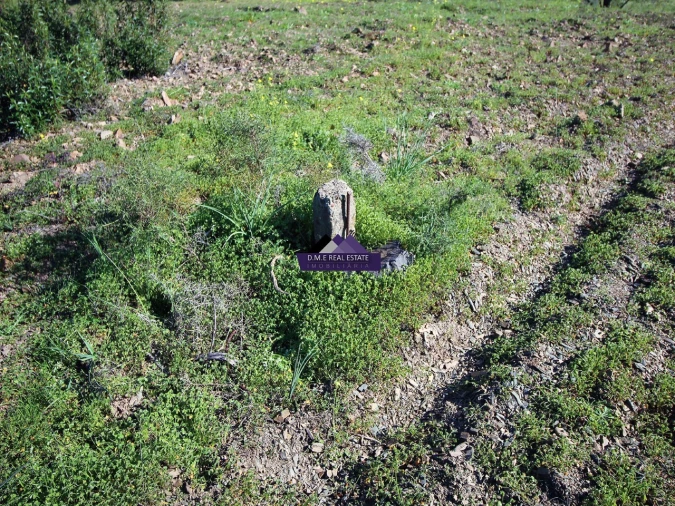 Terreno Agricola ou Rústico para Venda em Castro Marim Foto 9