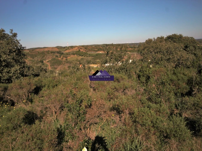 Terreno Agricola ou Rústico para Venda em Castro Marim Foto 13