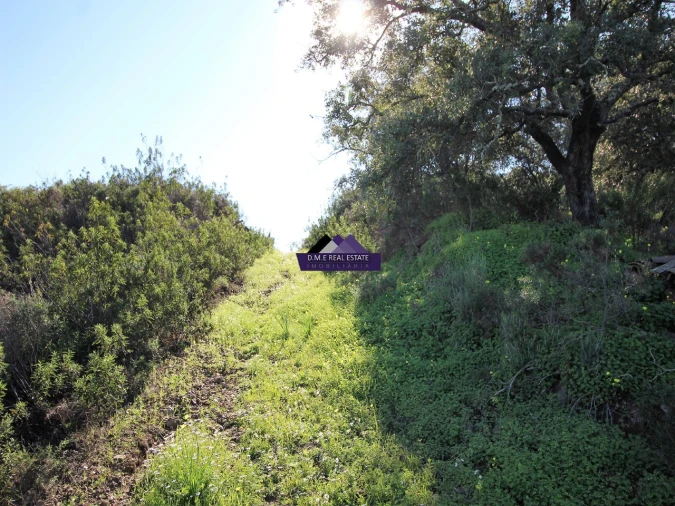 Terreno Agricola ou Rústico para Venda em Castro Marim Foto 4