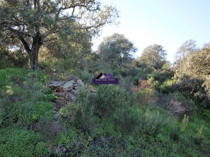 Terreno Agricola ou Rústico para Venda em Castro Marim Foto 15