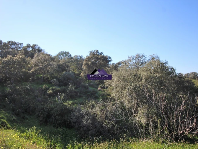 Terreno Agricola ou Rústico para Venda em Castro Marim Foto 16
