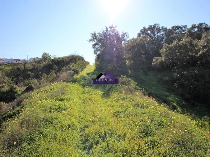 Terreno Agricola ou Rústico para Venda em Castro Marim Foto 5