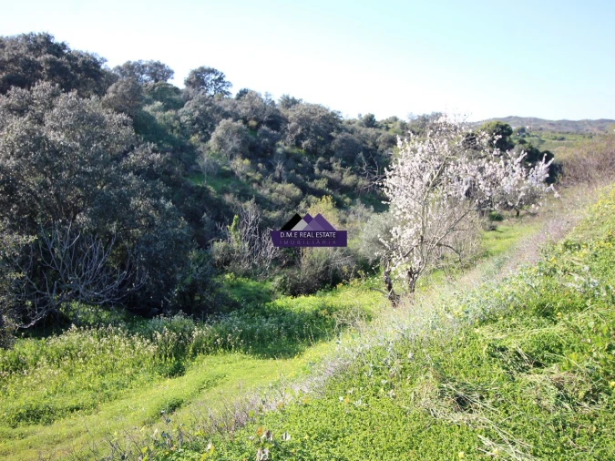 Terreno Agricola ou Rústico para Venda em Castro Marim Foto 6