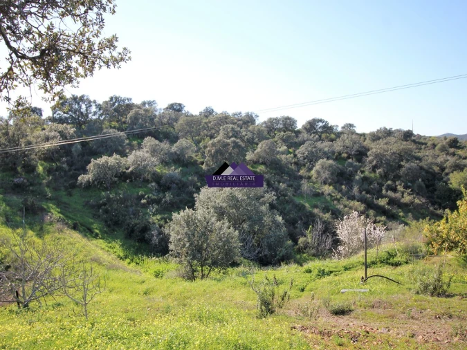 Terreno Agricola ou Rústico para Venda em Castro Marim Foto 2