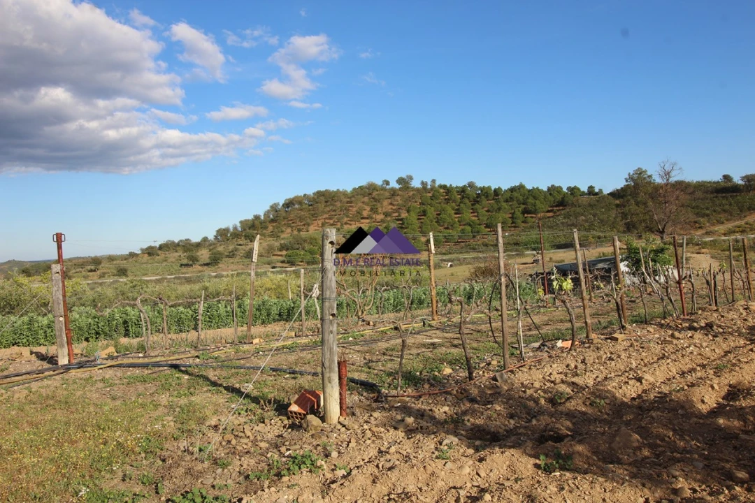 Terreno Agricola ou Rústico para Venda em Odeleite Foto 8