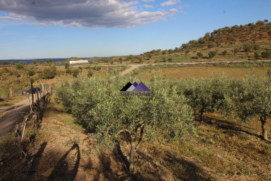 Terreno Agricola ou Rústico para Venda em Odeleite Foto 11